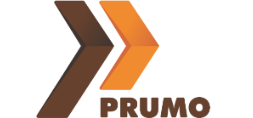 Logo prumo